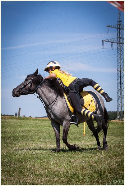 Mounted Games 173